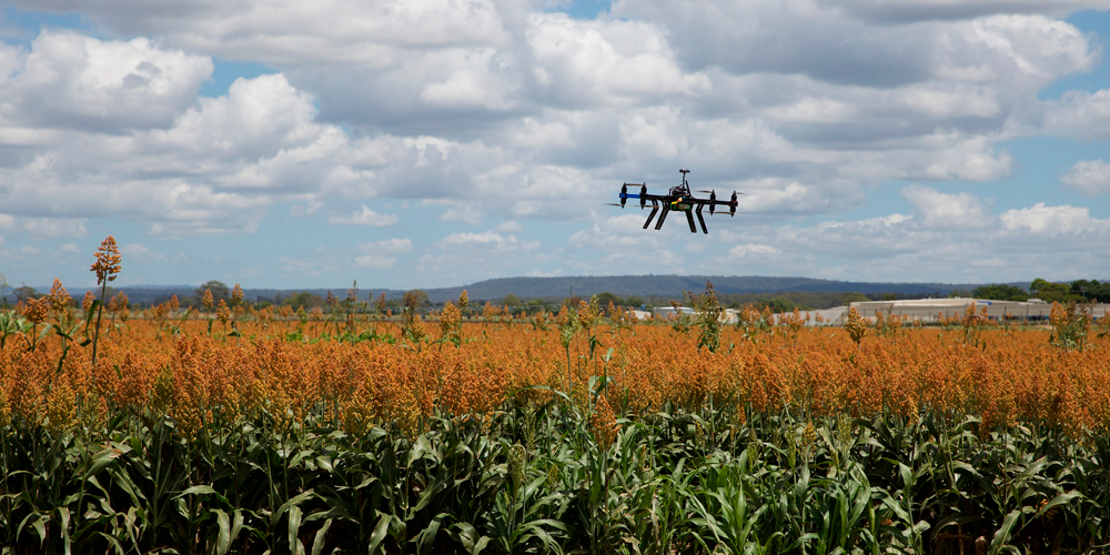 drones para agricultura