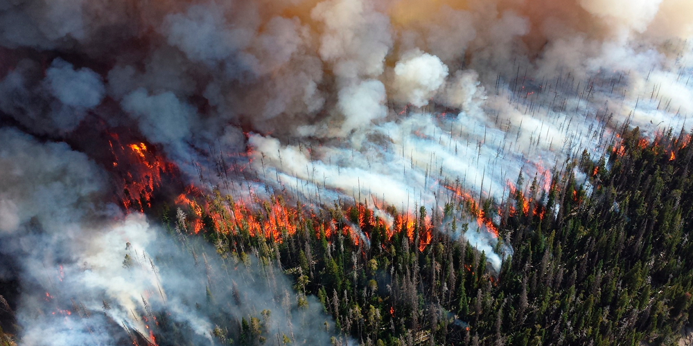 prevención de incendios